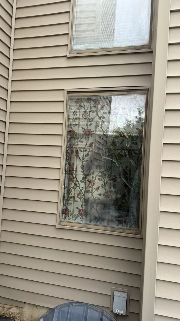 Rotten window frame repair services