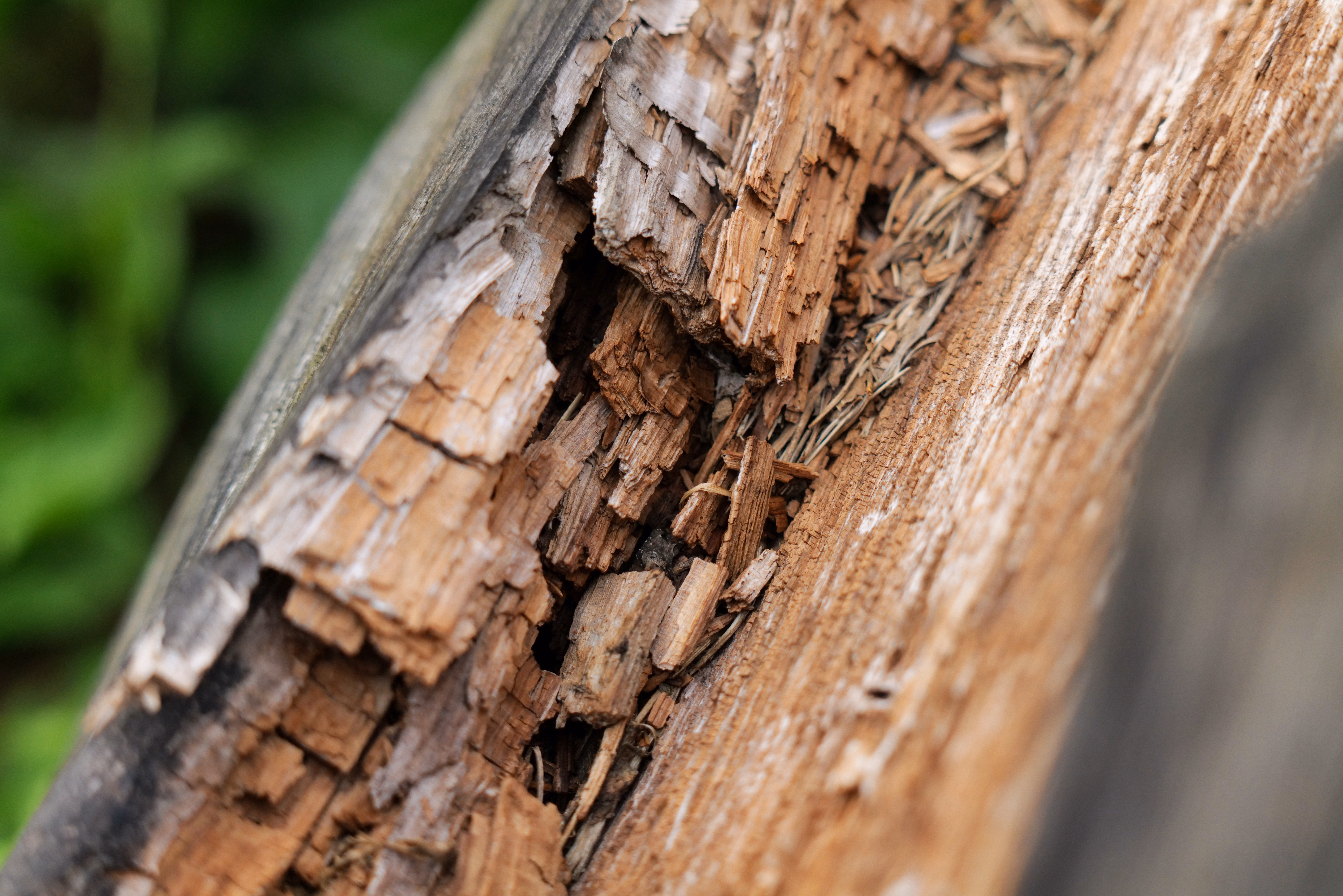 rotted wood frame vs new vinyl frame - patio door frame replacement rotted wood frame vs new vinyl frame - patio door frame replacement