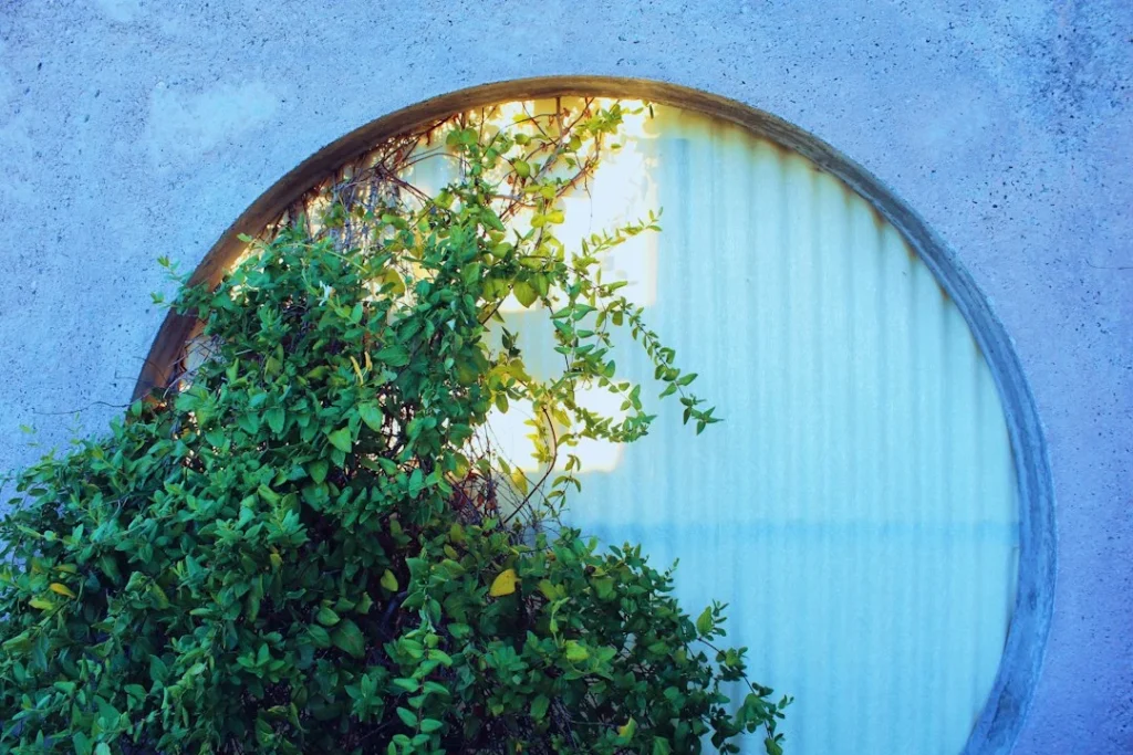 A corrugated steel window well installed against a poured foundation wall, one of the most budget-friendly well options.
